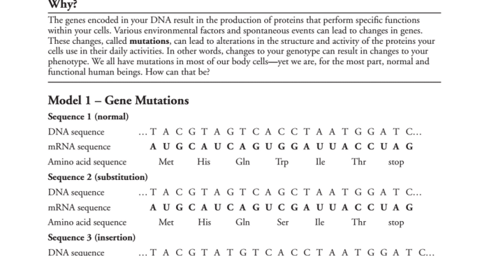 Immunity pogil answer key pdf