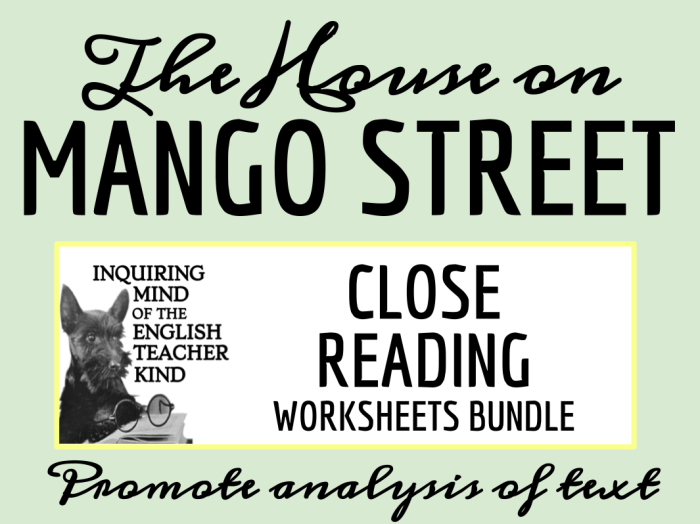 House on mango street worksheets pdf