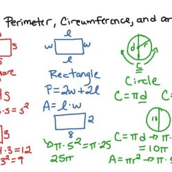 Perimeter circumference and area quiz