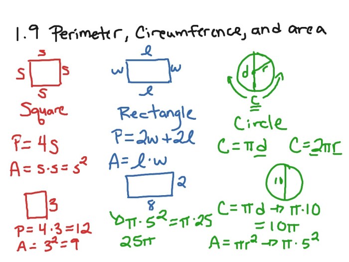 Perimeter circumference and area quiz