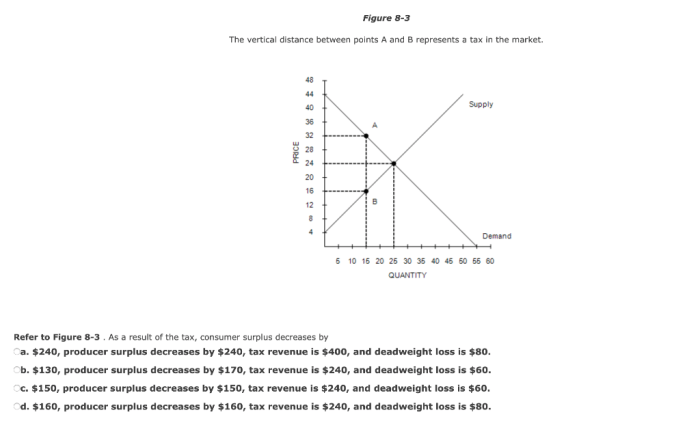 Tariffs welfare economics effects surplus protectionism tariff infant imports benefits consumer cons pros equilibrium producers imposed argument exports consumers p1