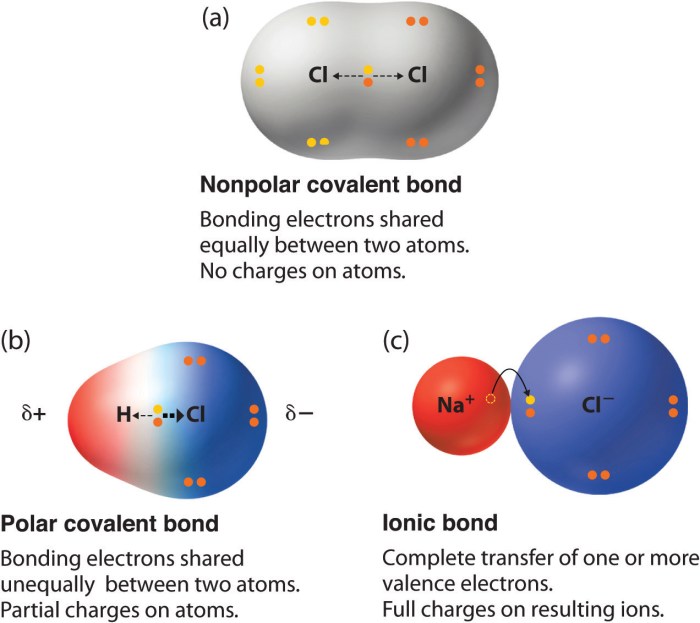 Polar covalent nonpolar bonds molecules examples molecule definitions